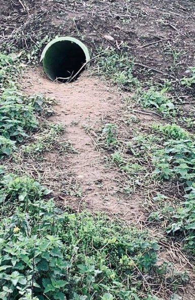Artificial Badger sett Artificial Badger sett entrance