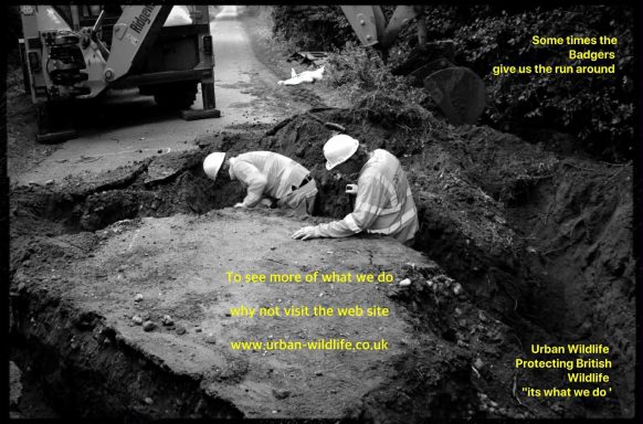 Road Protection Protecting Roads