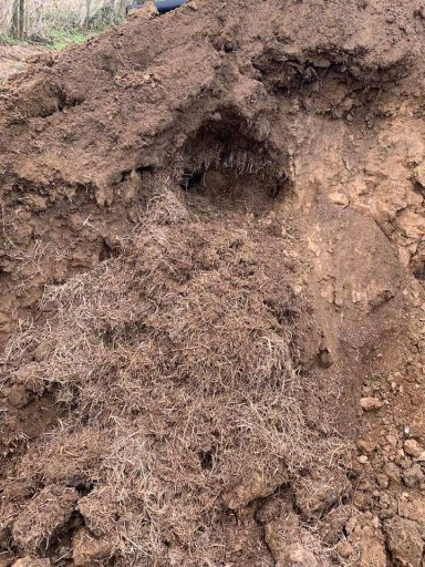 Badger chamber Badger Bedding